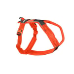 Non-Stop Dogwear Line Hundesele 5.0 Oransje (3)