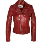 Veste Schott  VESTE PERFECTO LCW1601D  SANS CEINTURE  Rouge