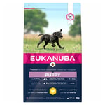 Eukanuba Puppy Large Breed, Chicken