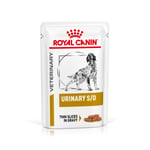 Royal Canin Veterinary Canine Urinary S/O kastikkeessa - 48 x 100 g