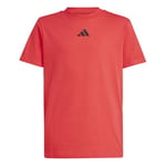 adidas Unisex Kids Essentials T-Shirt, Pure Ruby/Black, 13-14 Years