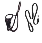 HALTI No Pull Harness Size Medium & HALTI Training Leash Size Large, Black Combination Pack - Stop Your Dog Pulling on the Leash. Adjustable, Lightweight and Easy to Use. Suitable for Medium Dogs