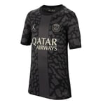 Nike PSG DX9852-069 Y NK DF STAD JSY SS 3R T-Shirt Unisex Iron Grey/Black/Stone Taille XS