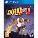 Shaq Fu A Legend Reborn Jeu PS4