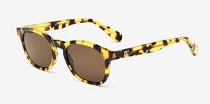 CR7 Danse BD001 51 009.000 Havana Sunglasses Brun Lens Soleil Cristiano Ronaldo