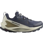 Salomon Men's Elixir GORE-TEX Blue Nights/Almond Milk/Gothic Olive, Blue Nights / Almond Milk / Gothic Olive, 43 1/3