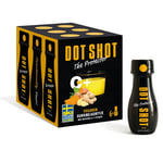 Dot Shot The Protector kosttillskott 6 x 70 ml