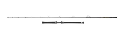 Penn Regiment IV Halibuster Rod, Saltwater Angler Fishing Sea Fish Cod, Sea Eel, Bass, Pollock, Mackerel, Shark, Strong Leightweight & Versatile, Silver, 2.40m Fast Ambidextrous Rod