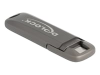 Delock Usb 20 Gbps Usb-C Minnepinne 512 Gb, Lesehastighet 1980 Mb/S - Metallhus