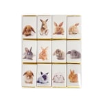 12 Pack Slims - Cute Bunnys