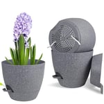 20cm Plant Pots Indoor,3pcs Self Watering Plant Pots Indoor,Large Flower Pots,House Indoor Plant Pot,Orchid Pots Plant Pots with Holes,Plastic House Inside Plant Pot Planters with Saucer (Grey)