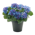 Hortensia Artificiel Bleu en Pot Noir 50 cm