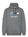 PUMA Motorsport Bmw Mms Ess Hoodie Fleece Grå