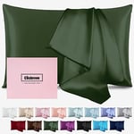 Silk Pillow Cases for Hair and Skin Mulberry Silk Pillow Cases Soft Breathable Smooth Both Sided Natural Silk Pillow Cases with Zipper Beauty Sleep Silk Pillowcase 1 Pack for Gift(Standard,Green)