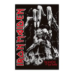 Grupo Erik - Poster Iron Maiden Number Of The Beast - Deco Maison, Decoration Murale, Affiche Décorative