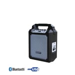 POWER ACOUSTICS - FUNMOVE 100 - Sono portable 100W sur batterie