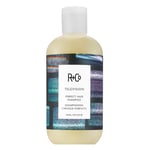 R+Co TELEVISION Perfect Hair Shampoo 251ml