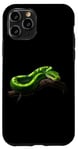 Coque pour iPhone 11 Pro Amoureux Drôles De Python D'arbre Vert, Serpents, Reptiles