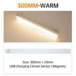 Warm Light 30CM indoor lighting Bande Lumineuse LED Sans Fil avec Capteur de Mouvement, Rechargeable par USB, Luminaire Décoratif d'Nik, Idéal pour une Armoire, une Cuisine ou une Chambre à Coucher, 10/20/30/50cm ""Nipseyteko