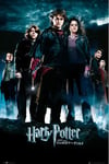 empireposter Poster de cinéma Harry Potter All - Dimensions : 61 x 91,5 cm