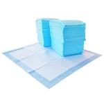 Amazon Basics Leakproof, 5-Layer, Scented Dog Pee Pads for Potty Training, 55.9 x 55.9 cm, 150 Count, Blue