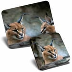 Mouse Mat & Coaster Set - Caracal African Lynx Cat  #3171