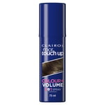 Clairol Root Touch Up Spray Temporary Grey Coverage amp Volume 2-in-1 Spray Medi