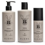 Björk VÄXA Kids Bundle Shampoo & Body Wash 300 ml & Bath Foam 300 ml &