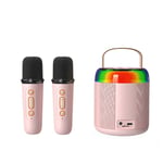  Karaoke Audio with 2  Microphones for Kids Adults, Portable Bluetooth5329