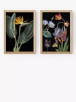 EAST END PRINTS Natural History Museum 'Dark Floral' Framed Print, Set of 2