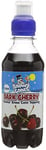 Snowycones | Syrup for Snow Cones and Shaved Ice | Not Slush | Mixed Flavour Syrups Includes Blue Bubble Gum/Blue Raspberry Soda/Dark Cherry/Marshmallow/Peach/Red Cola 250 ml (Pack of 6)