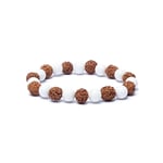 Armband rudraksha / snäcka  8 cm