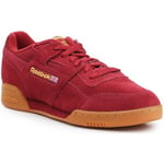 Baskets basses Reebok Sport  Workout Plus MU