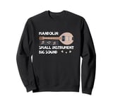 Mandolin Small Instrument Big Sound Mandolin Player Musician Sweatshirt