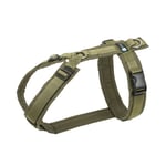 Anny-X Fun Hundsele - Olive/Olive S