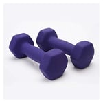 Shengluu Weights Dumbbells Sets Women Cast Iron Hex Dumbbell Exercise Weights For Core And Strength Training (Color : Purple, Size : 2.5kg*2)