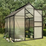 Serre de Jardin Serre d'hivernage Serre tunnel Anthracite Aluminium 3,61 m² NSME8389