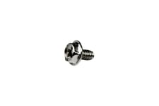StarTech.com Replacement PC Mounting Screws #6-32 x 1/4in Long Standoff - Screw kit - silver - 0.2 in (pack of 50) - SCREW6_32 - skruesæt