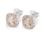 CAROLINA GYNNING Glamorous - champagne Örhängen studs Silver