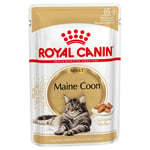 Økonomipakke: 96 x 85 g Royal Canin vådfoder - Maine Coon i sauce