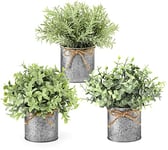 Mkono Lot de 3 Mini Plantes artificielles en Pot de Ferme en métal galvanisé pour Centre de Table, décoration d'intérieur Rustique, Faux Eucalyptus pour étagère, Salle à Manger, Bureau