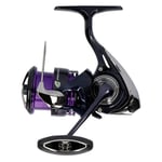 Daiwa 24 Prorex X LT 2500