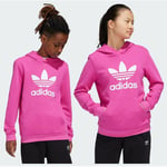 adidas Original Trefoil Hoodie Kids, størrelse 176 cm