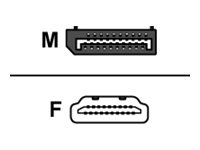 Dell - Videokort - Displayport Hane Spärrad Till Hdmi Hona - För Optiplex 30Xx, 3240, 5040, 70Xx, 7440  Precision 7510, 7710  Precision Tower 3420, 3620