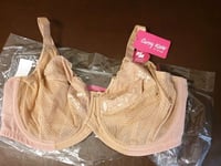 Curvy Kate Bra Delightful Beige Plus Size 42DD Underwired Lace Full Cup #4