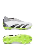 Predator Accuracy.3 Ll Fg White Adidas Performance