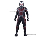 MARVEL - Civil War - Ant-Man Movie Masterpiece 1/6 Action Figure 12" Hot Toys