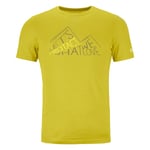 Ortovox 185 Merino Protact TS - T-shirt en laine mérinos homme Dirty Daisy M