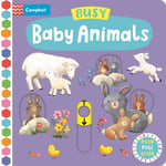 Busy Baby Animals  A Push, Pull, Slide Book