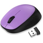 LeadsaiL Wireless Mouse for Laptop Silent Cordless USB Mouse Wireless Optical Computer Mouse, 3 Buttons, 1600DPI for Windows 10/8/7/XP/Apple Mac/Macbook Pro/Air/HP/Acer/ASUS/Lenovo/HUAWEI
